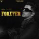 Forever - Laddi Chahal (2022) Poster