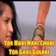 Tor Hari Hari Chudi Tor Gaal Gulabi New Year Special DJ Remix