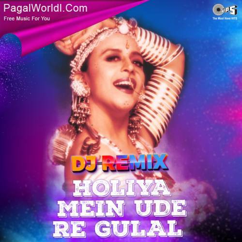 Holiya Mein Ude Re Gulal - DJ Remix Poster