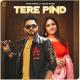 Tere Pind Poster
