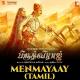 Menmayaay (Prithviraj)