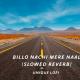 Billo Nachi Mere Naal (Slowed Reverb) Poster