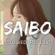 Saibo (New Slowed Reverb)