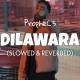 Dilawara (Slowed Reverb)