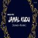 Abrars Entry Jamal Kudu (Slowed Reverb)